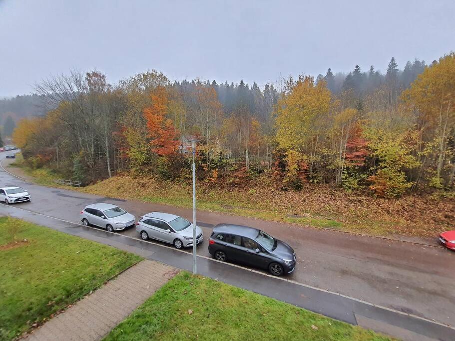 Two-bedroom Near Triberg Waterfall Apartment *