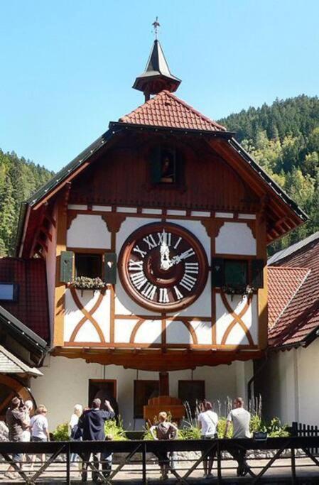 Two-bedroom Near Triberg Waterfall Apartment