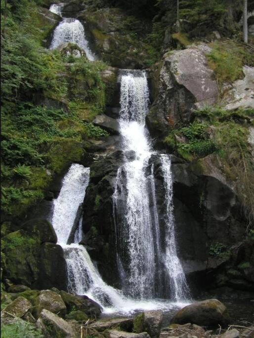 Two-bedroom Near Triberg Waterfall Apartment Triberg im Schwarzwald